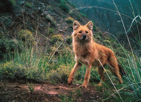 一级.jpg 一级.jpg