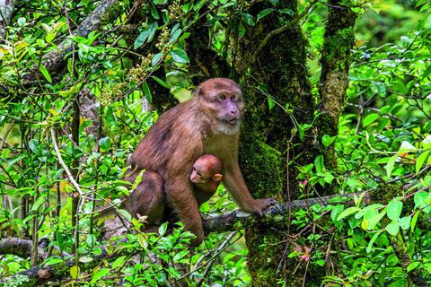 一级动物3.jpg 一级动物3.jpg