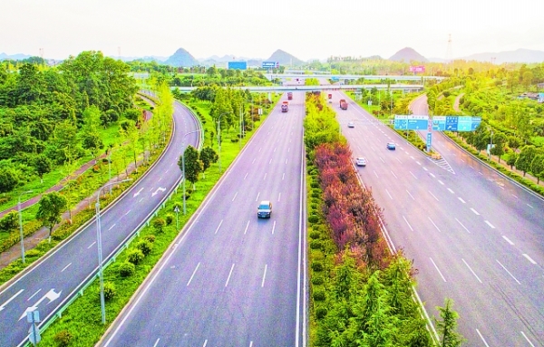 绿意.jpg 绿意.jpg