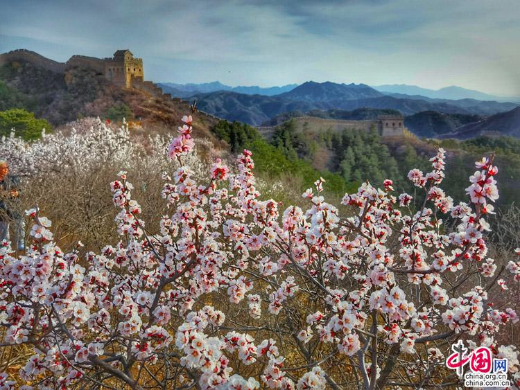 cdd503a4-7eeb-45b8-b056-582e96b36e03_batchwm.jpg cdd503a4-7eeb-45b8-b056-582e96b36e03_batchwm.jpg