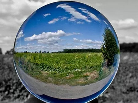 绿色的.jpg 绿色的.jpg