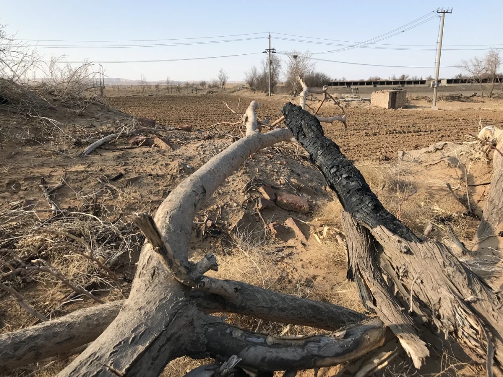 跑了好几年.webp.jpg 跑了好几年.webp.jpg