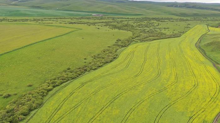 2020年8月.jpg 2020年8月.jpg