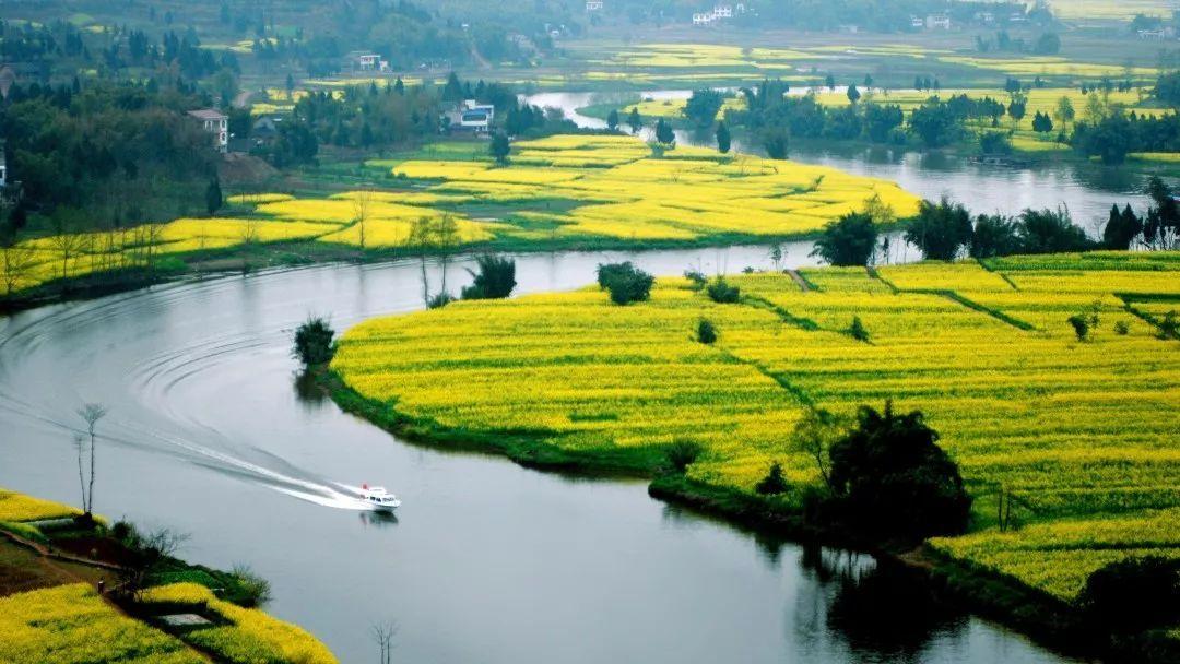 长江生物多样性.jpg 长江生物多样性.jpg