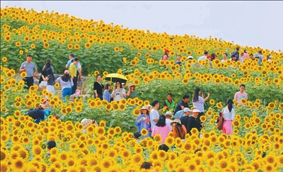 1760080452122947.jpg 国庆、中秋假期,.jpg