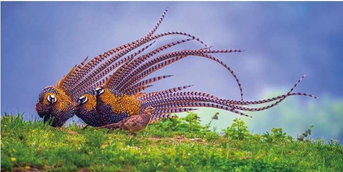 1760171361279162.png 这是河南董寨国家级自然保护区.png