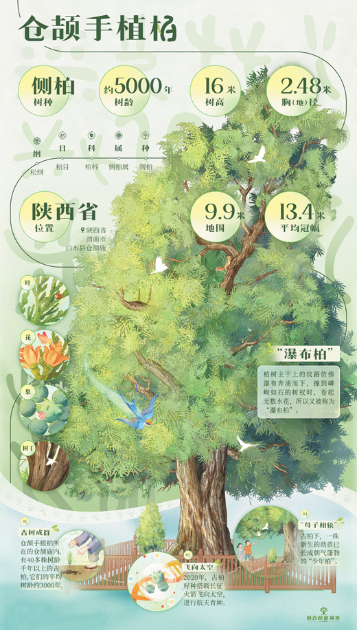 1760347541686142.jpg 踏入位于陕西省渭.jpg