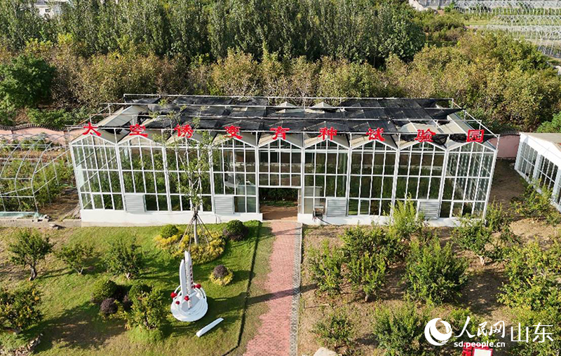 1760347765616238.jpg 航拍太空诱变育种试验园。.jpg