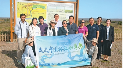 1760427832466849.png 在乌兰布和沙漠黄.png