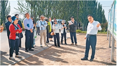 1760427846600941.png 在绿洲防护林体系构建222.png