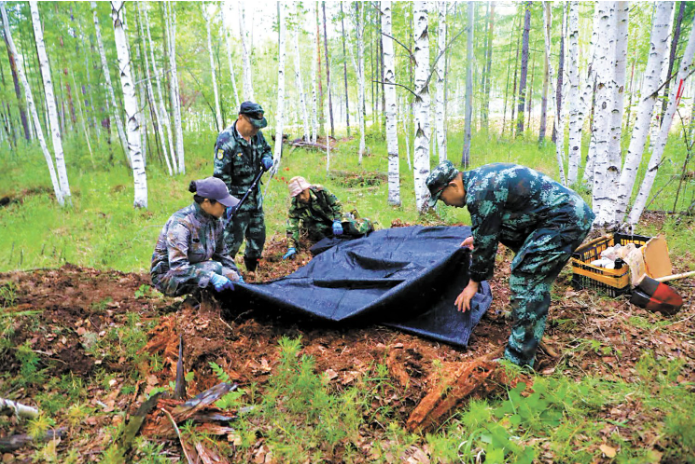 1760599687190993.png 职工利用林下剩.png