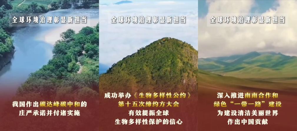 全球环境治理彰显新担当.jpg