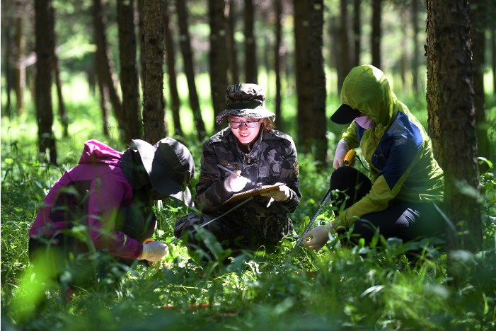 1760684188994158.png 工作人员在河北塞罕坝.png