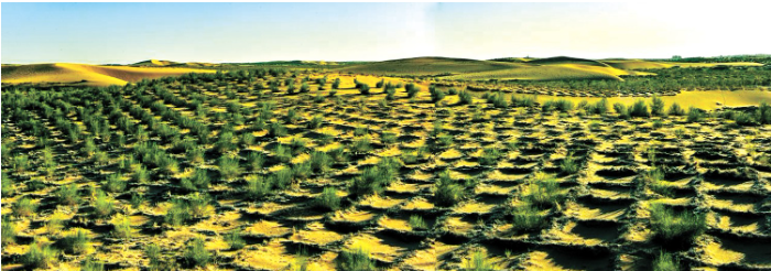 1760948238883693.png 甘肃省民勤县沙咀墩治沙.png