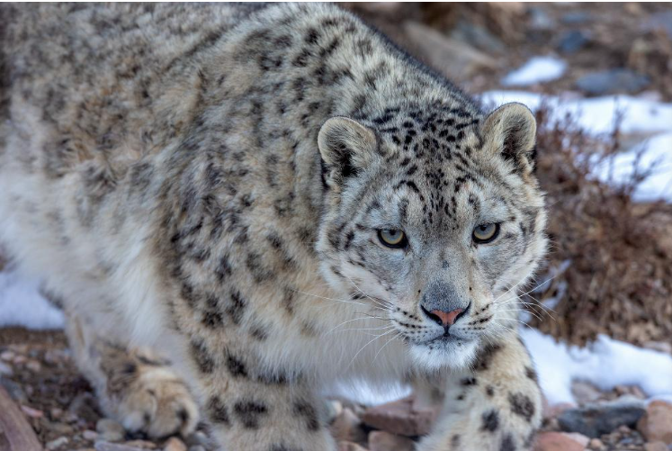 1761209792196858.png 这是在祁连山国家公园体.png