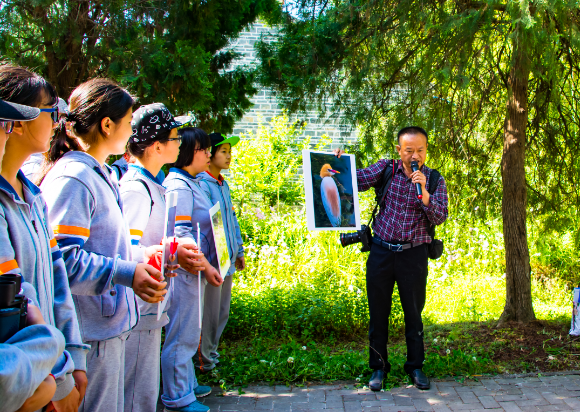 1761296458871697.png “洪泽湖的鸟在等我”.png