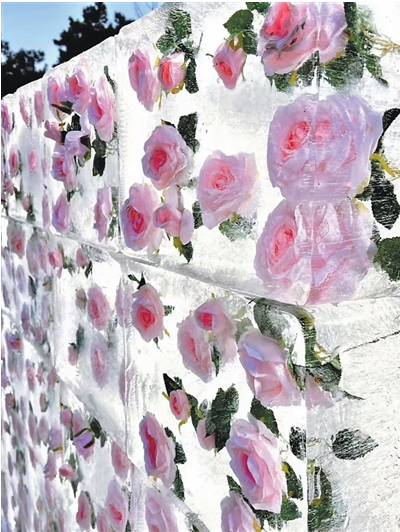 1761819403287243.png 沈阳市南湖公园设立的冰.png