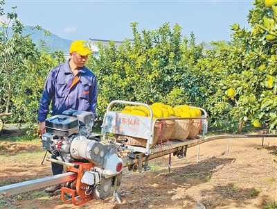 1762750993135899.jpg 柚农用山地轨道.jpg