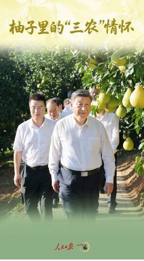 1762753301722197.png 3111.png