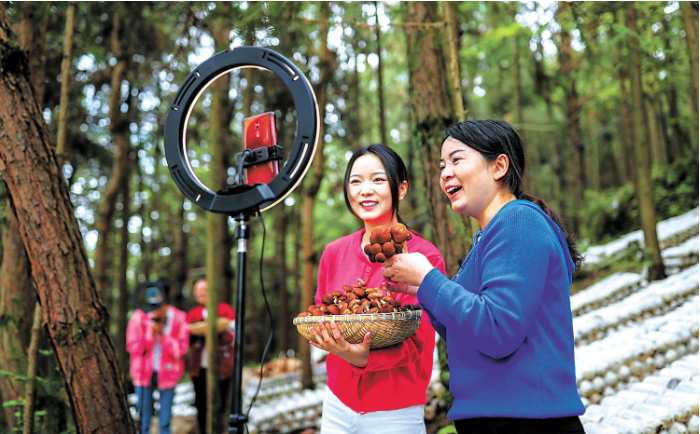 1762847611216752.png 林下经济开启绿色财富密码,成.png