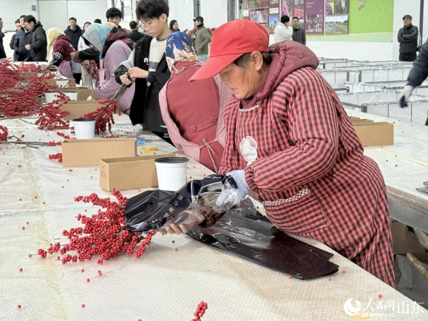 车间工人正在打包北美冬青。.png