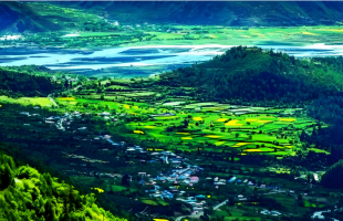 我国海拔最高风电项目并网发电