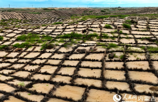 “十四五”时期内蒙古完成防沙治沙6688万亩