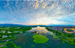 “闻声护鸟”靠创新   