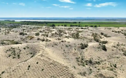 内蒙古磴口：沙漠“蓝海”增“绿”记 