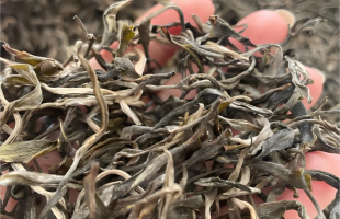 有声有色讲述中国茶的故事