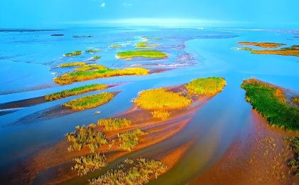 黄河入海口千亩滩地复绿记  