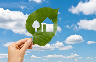 守护蓝天：衡阳市雁峰区  2025年大气环境质量明显改善