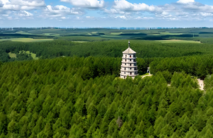 塞罕坝机械林场有了国际“绿色通行证”  