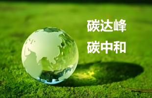 当AI遇到“双碳”，产业重塑如何实现？  