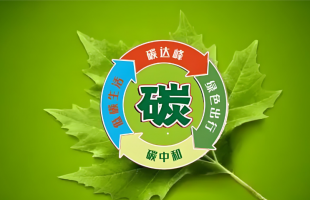 报告称，中国城市在“双碳”行动上已全面步入实质性落实深化阶段 