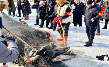 镜泊湖冬捕：一网开冰湖，沸了丰年 