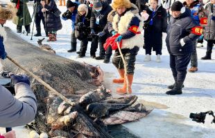 镜泊湖冬捕：一网开冰湖，沸了丰年 