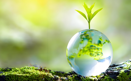 中方愿同各方一道继续推动全球绿色低碳转型  