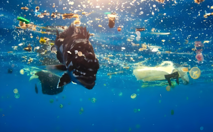 几乎看不见的污染，厦门这样治理