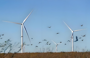 高空风能从试验地迈向开发场 