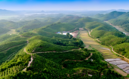 自然资源部、国家林草局通报违法违规典型问题  