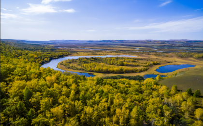人均百棵树的奇迹
