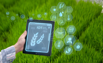 如何用数智化技术赋能生态环境治理？上海的做法值得借鉴  