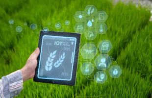 如何用数智化技术赋能生态环境治理？上海的做法值得借鉴  