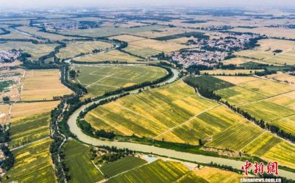 我国将继续推动农业发展全面绿色转型  