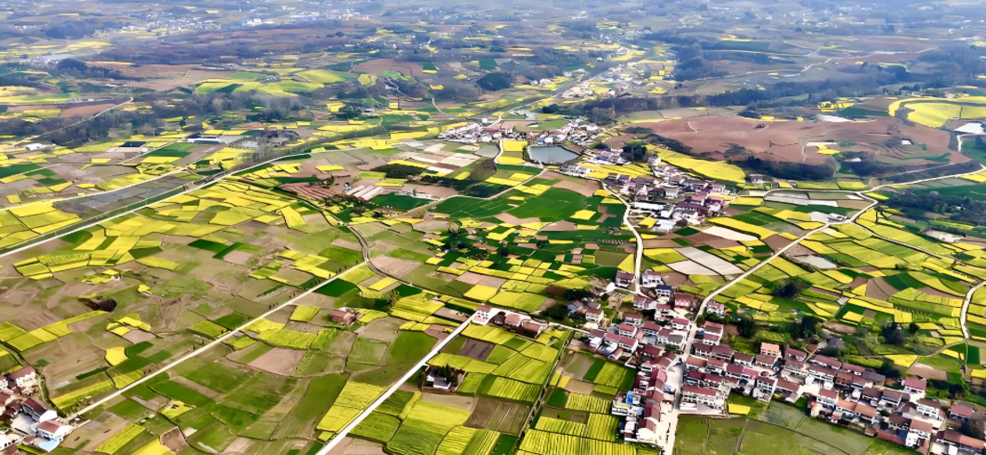 开局抓“三农”，乡村全面振兴万象新