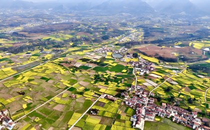 开局抓“三农”，乡村全面振兴万象新      