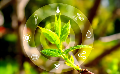 建设绿色智慧的数字生态文明