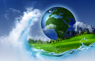 如何为“地球之肾”建立精准碳账本？湖北经验看过来！