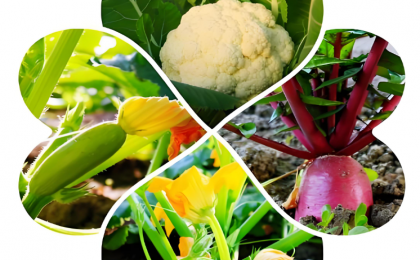 “菜篮子”里的政绩观